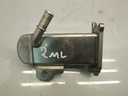 Refrigerador de gases de escape Peugeot Citroen C4 C5 3008 308 407 5008 2.0 HDi RHE DW10CTED4