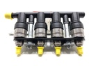 Inyector LPG SsangYong Torres (J100) 1.5 GDI AWD 120 kW 163 CV