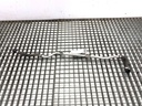 Drenaje de agua BMW Serie 5 (G30, F90) 2016-2022