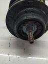 Puntal delantero derecho VW Transporter T5 7H 2.5 TDI 4motion BNZ 7H0413031N