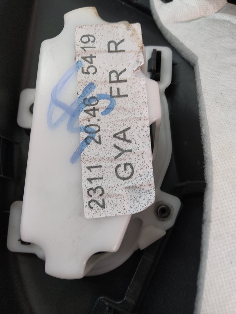 [MTD-520212] Panel de puerta NISSAN JUKE 1.0 DIG-T HR10DDT 809106PAOA