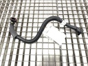 Circuito de agua HYUNDAI KONA II (SX2) 2022-