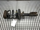 Amortiguador delantero izquierdo Renault Grand Scénic III (JZ0/1_) 2009-2022