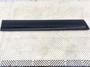 Panel de puerta delantero izquierdo Nissan Qashqai / Qashqai +2 I (J10, NJ10, JJ10E) 2006-2014