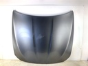 Capó BMW Serie 5 Touring (F11) 2009-2017