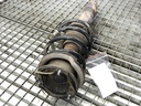 Amortiguador delantero derecho BMW X1 (E84) 2009-2015