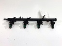 Rampa de inyectores RENAULT SCÉNIC II 2.0 gasolina 99kW 135CV 2003-2009