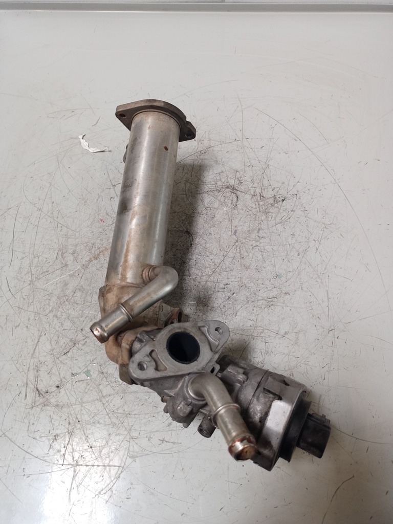[MTD-429661] Enfriador de gases de escape Ford Transit 2.2 TDCI Diesel 8C1Q-9F464-AB