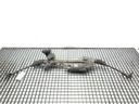 Caja de cambios SKODA SUPERB III (3V3) 2.0 TDI 110 kW 2015-2022