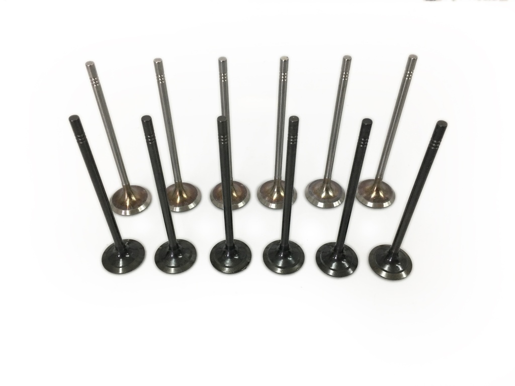 [MTD-278686] Juego 12 válvulas (6 admisión + 6 escape) VW Audi Seat Skoda 1.0 CHZ CHZJ 04E109611L