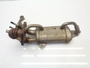 Enfriador de gases de escape Mercedes-Benz Clase A W176 1.5 d 607.951 OM607.951 147350364R