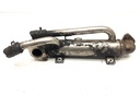 Enfriador EGR VW Passat B5.5 (3B3) 1.9 TDI 96 kW 2000-2005
