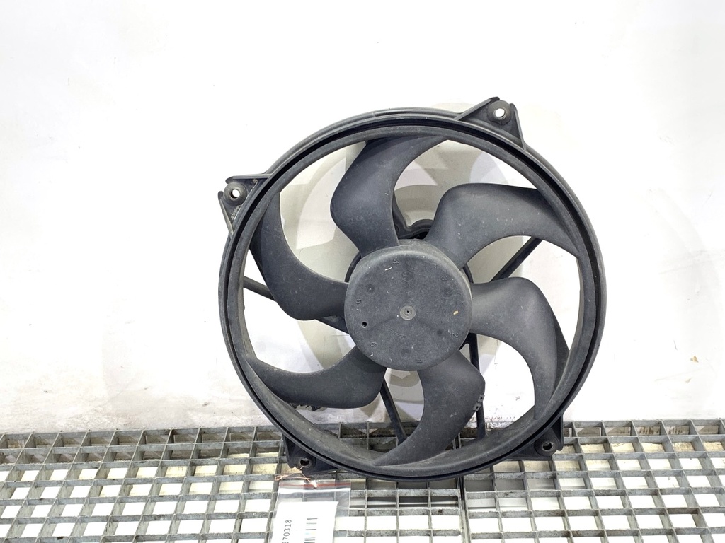[STARK-870318] Ventilador del radiador CITROEN C4 GRAND PICASSO I (UA_) 2006-2013