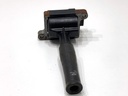 Bobina de encendido Jaguar XJ (X308) 4.0 276 kW 1997-2003