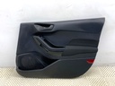 Panel de puerta delantero derecho Ford Fiesta VII (HJ, HF) 2017-2022