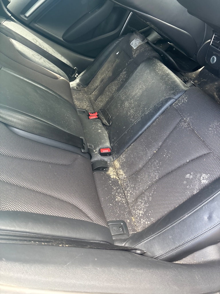 [EPE-120418] Conjunto de asiento trasero Audi A3