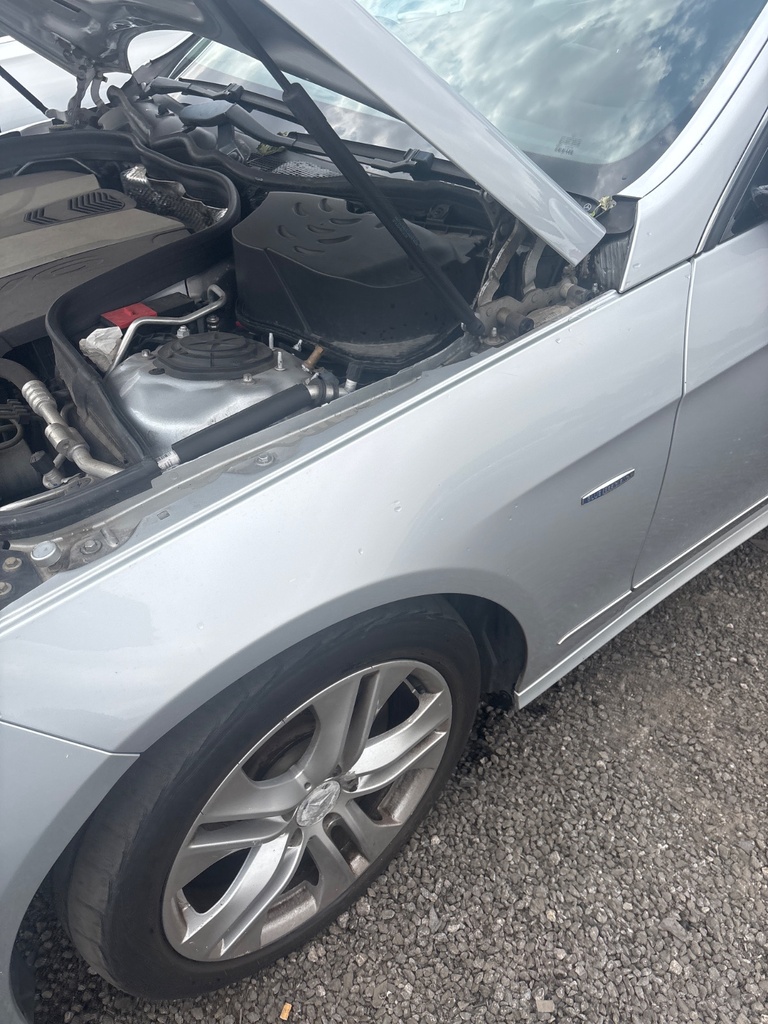 [EPE-115203] Aleta delantera izquierda Mercedes-Benz E-Class 2009