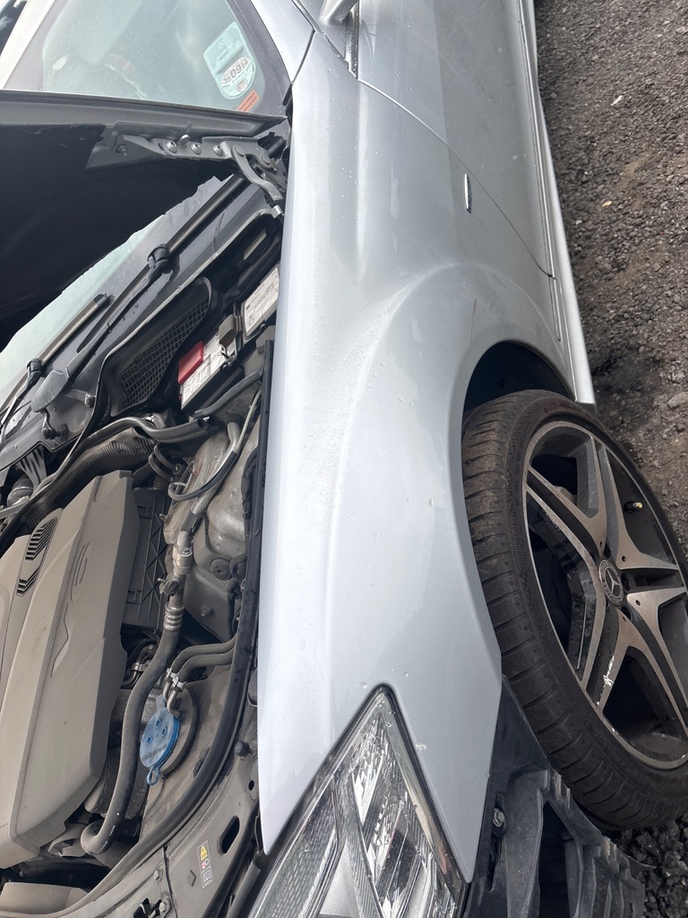[EPE-114576] Aleta delantera izquierda Mercedes S-Klasse W221