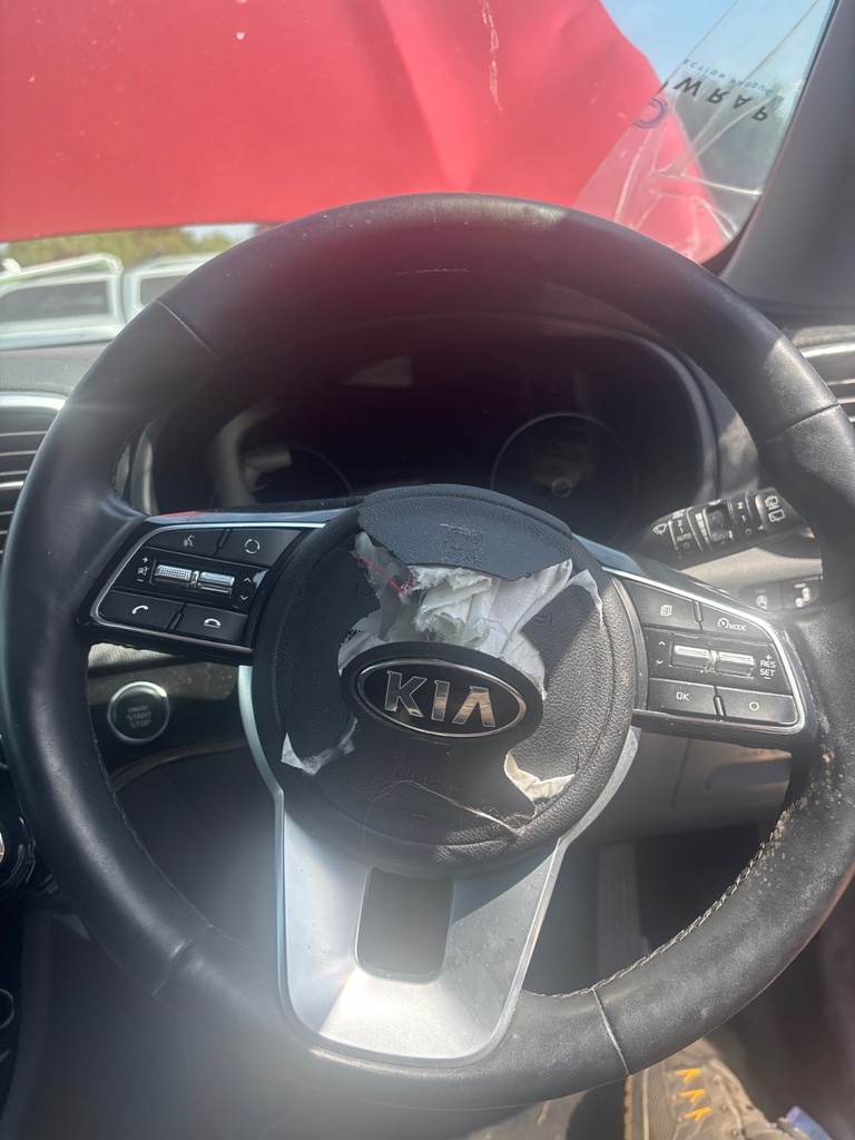 [EPE-116594] Volante Kia Sportage 2019