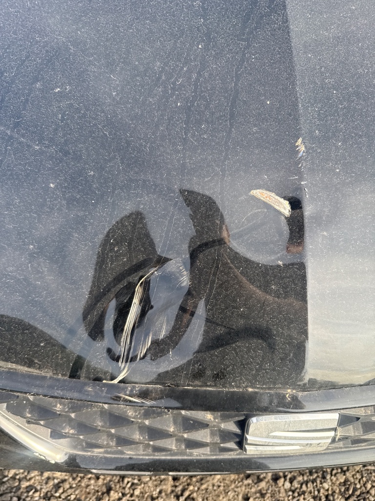 [EPE-120431] Capó Seat Leon
