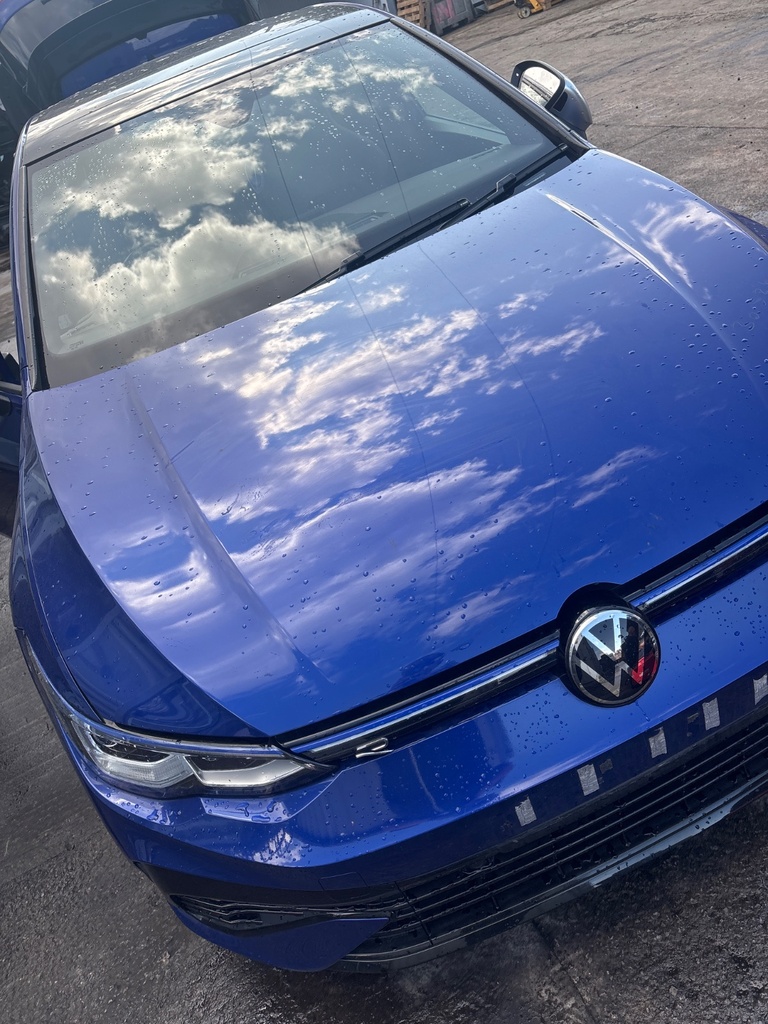 [EPE-123334] Paso de rueda interior delantero izquierdo VW Golf 2.0 TSI R 4motion