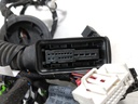 Mazo de cables Audi A4 2.0 35 TFSI