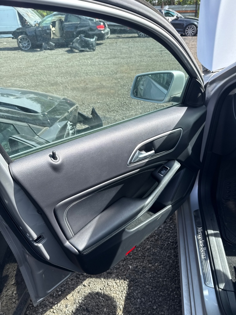 [EPE-120243] Panel de puerta delantero izquierdo Mercedes-Benz Clase A (2016-2018)