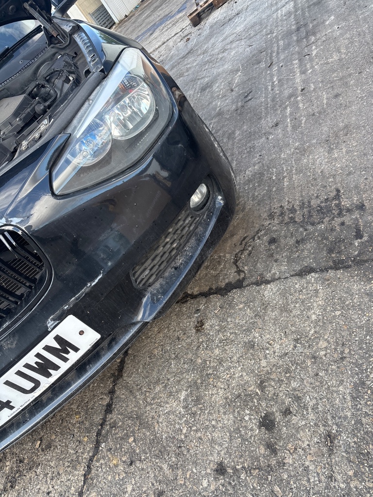 [EPE-122919] Rejilla de paragolpes delantera derecha BMW Serie 1