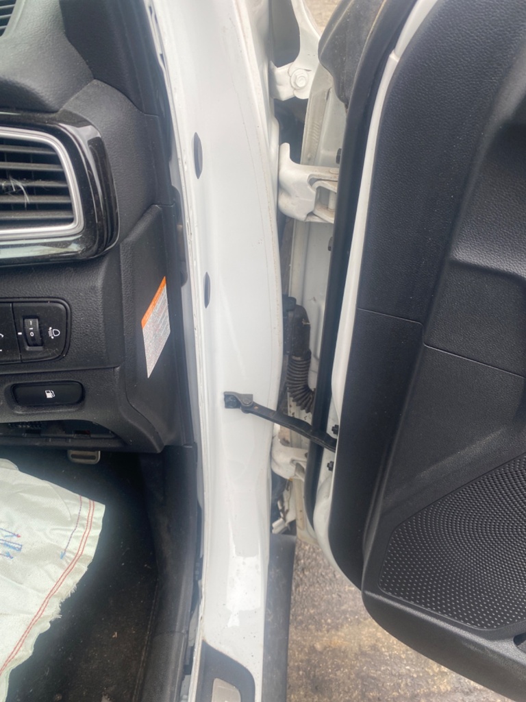[EPE-108343] Bisagra frontal de puerta Kia Niro 1.6 2018