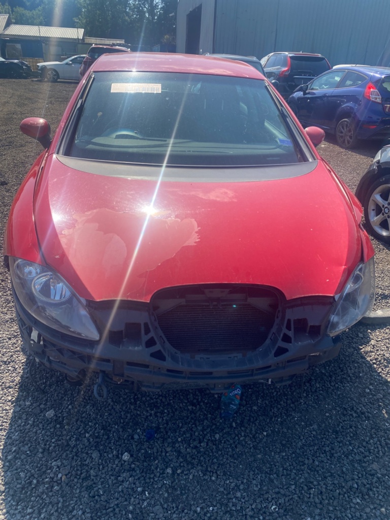 [EPE-110056] Parasol izquierdo Seat Leon 1.9 TDI 2005