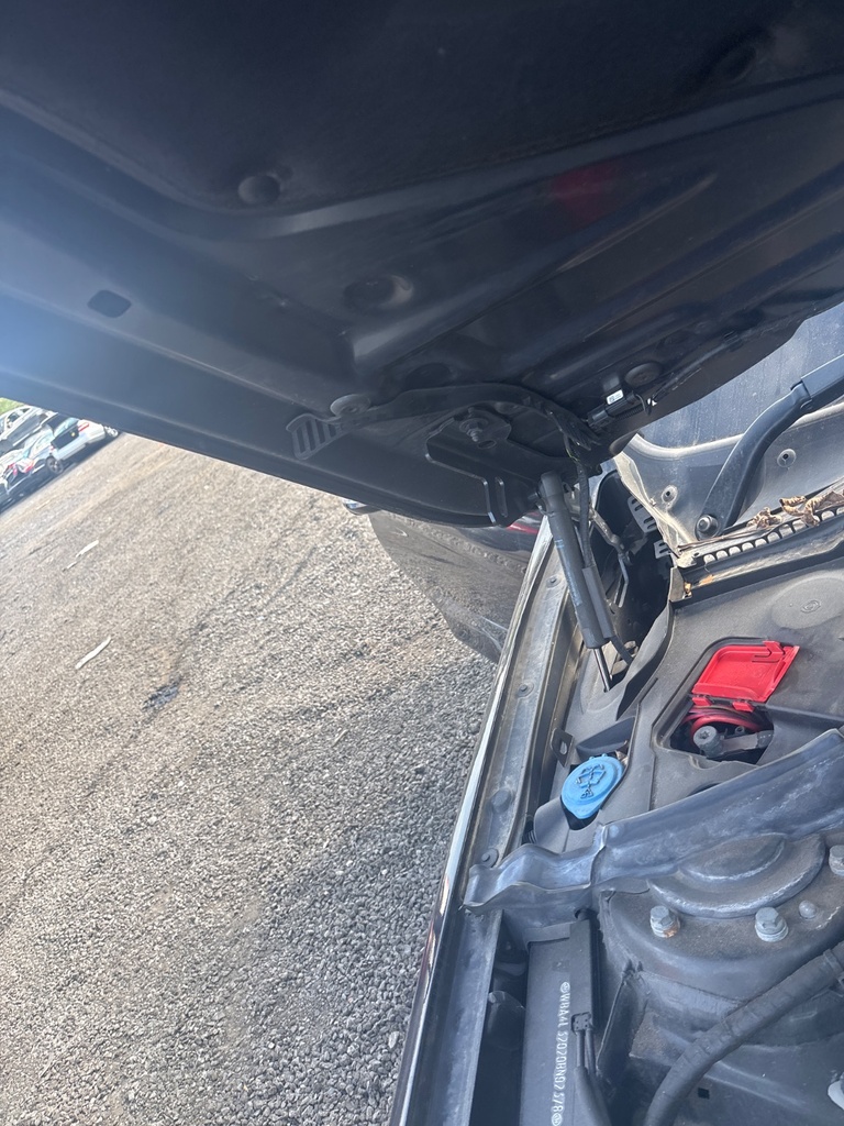 [EPE-115947] Bisagra del capó RH BMW Serie 4 2018 313CV