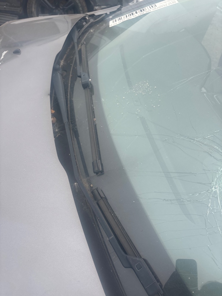 [EPE-118175] Motor y mecanismo de limpiaparabrisas delantero Peugeot 208 2019