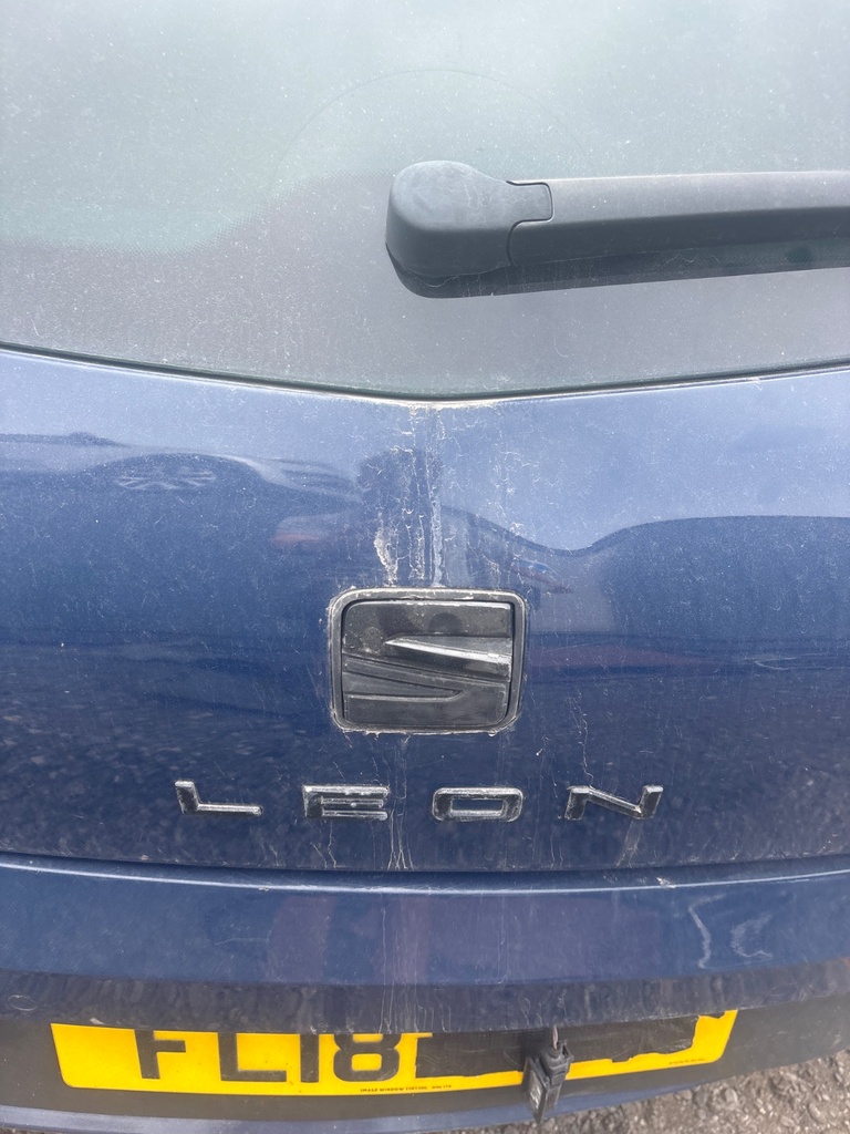 [EPE-118434] Tirador de apertura del portón trasero Seat Leon 5F1 2018