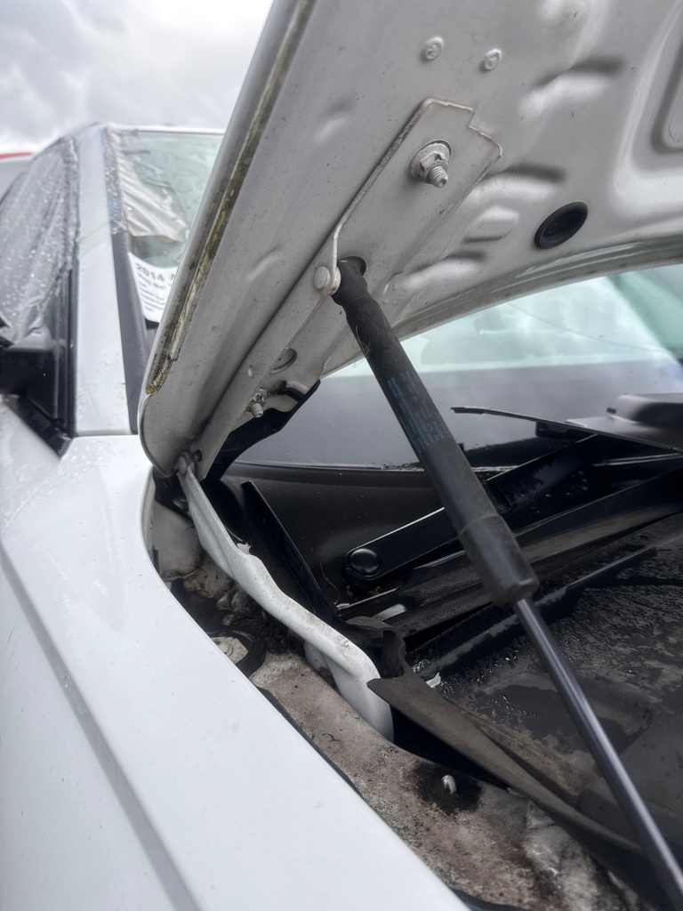 [EPE-107673] Bisagra del capó RH Audi A6 C7 2014 Y9C White