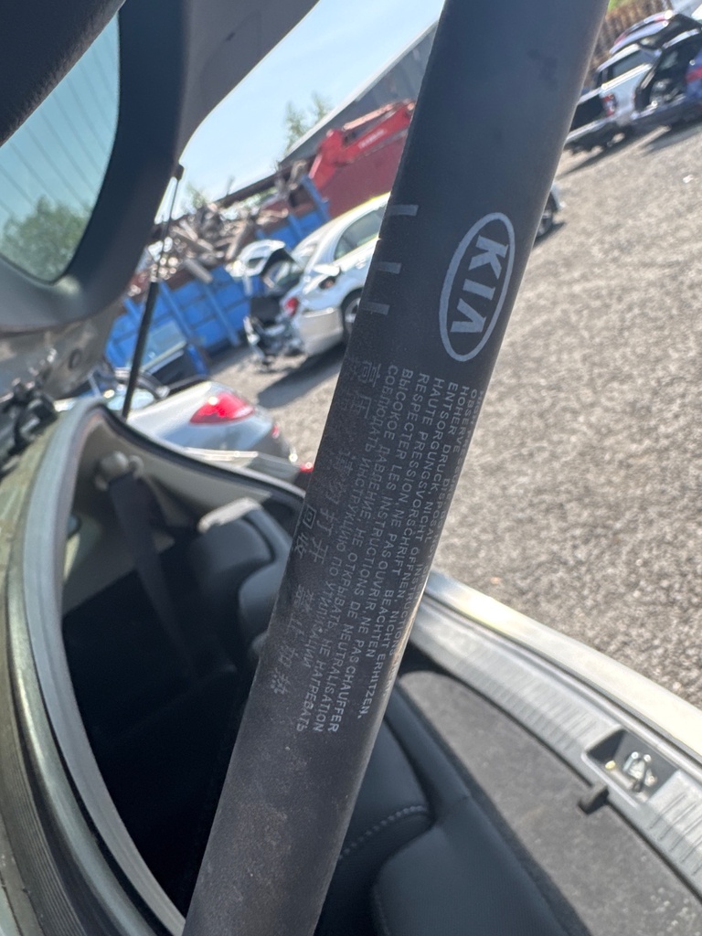 [EPE-105128] Amortiguador de portón trasero izquierdo Kia Carens IV 2017 Titanium Silver