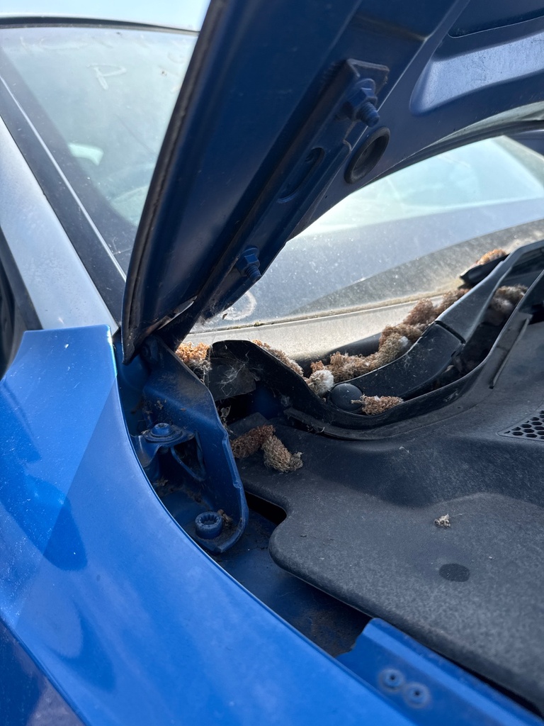 [EPE-105355] Bisagra del capó RH para Audi A5 Convertible 2011 CDNC CDN