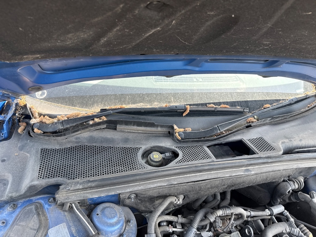 [EPE-105441] Mecanismo de limpiaparabrisas delantero para Audi A5 Convertible (2011)