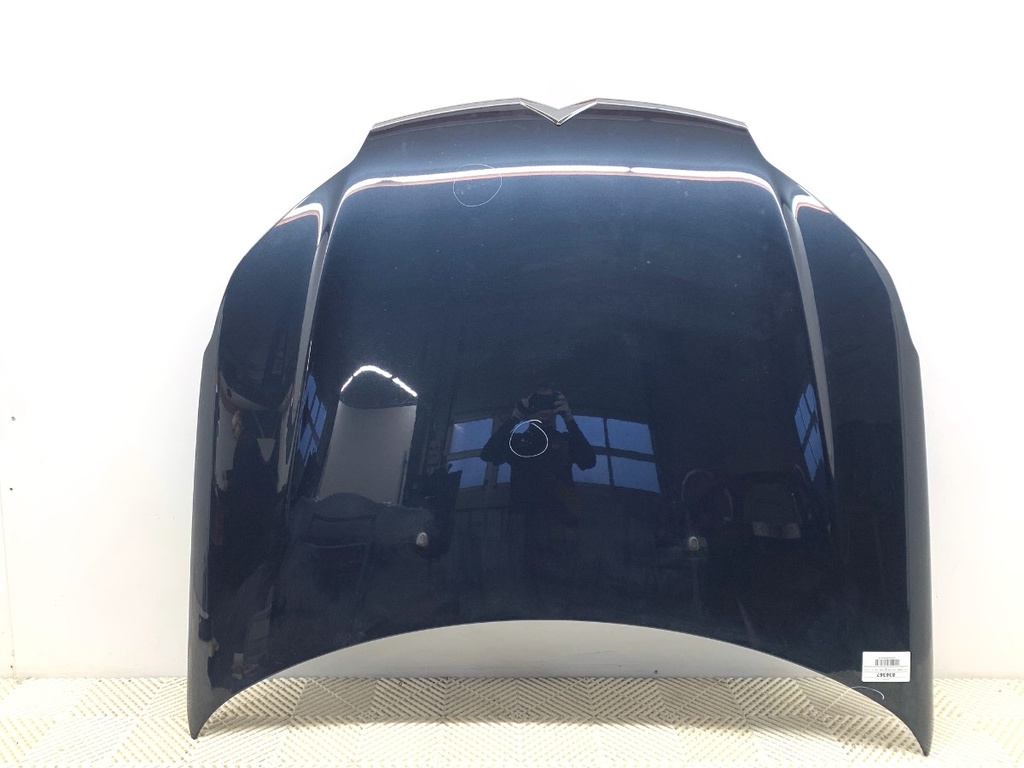[STARK-836367] Capó CITROEN C5 III (RD_) 2008-2022 2.0 HDi