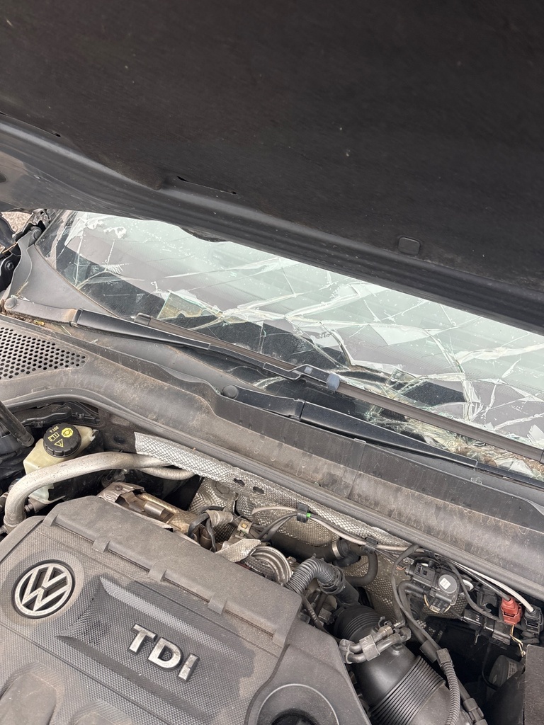 [EPE-112078] Motor y mecanismo de limpiaparabrisas delantero 2016 VW Golf C9X negro