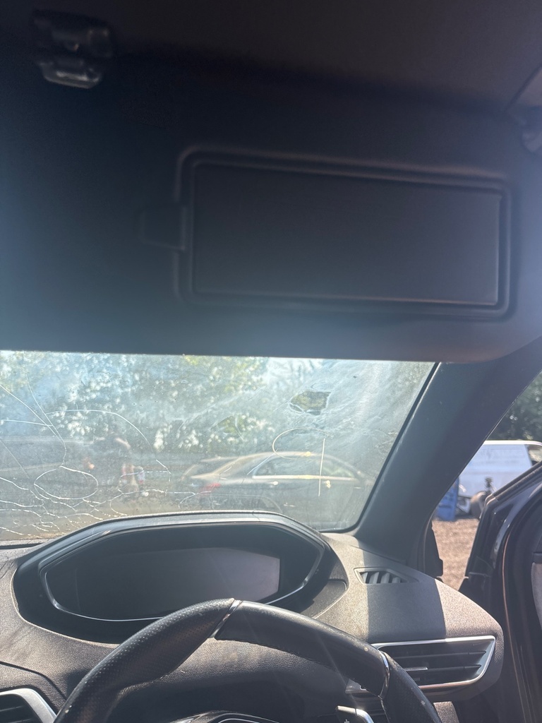 [EPE-113753] Parasol derecho Peugeot 3008 2.0 BlueHDi 180 2018