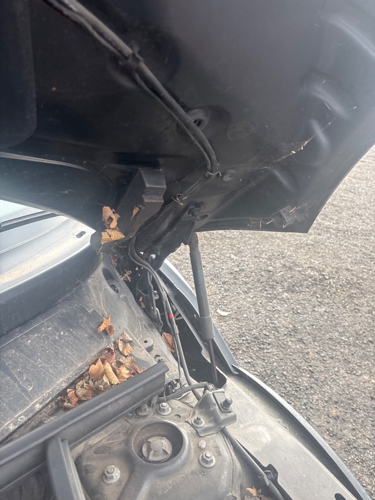 [EPE-115340] Bisagra de capó Mini Paceman Cooper R61 2013
