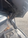 Bisagra de capó Mini Paceman Cooper R61 2013