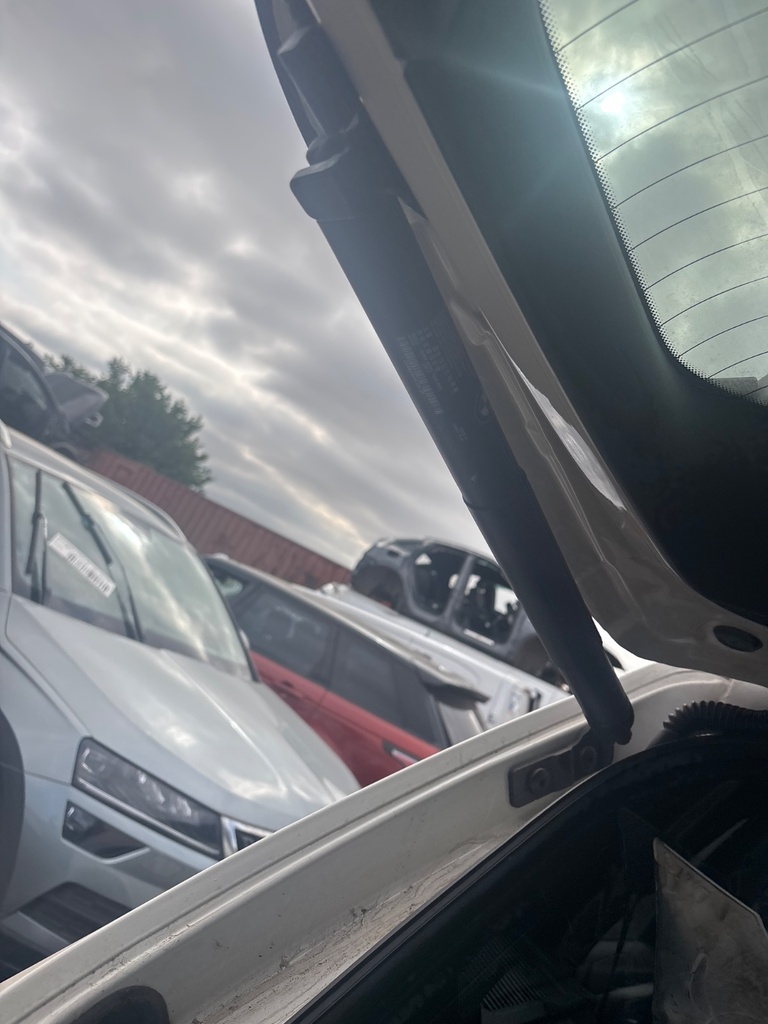 [EPE-115662] Amortiguador de portón trasero izquierdo 2017 BMW X5 F15 F85 300 alpinweiss
