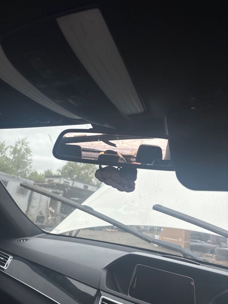 [EPE-115797] Espejo retrovisor interior 2013 Mercedes-Benz E-Class E 350 BlueTEC