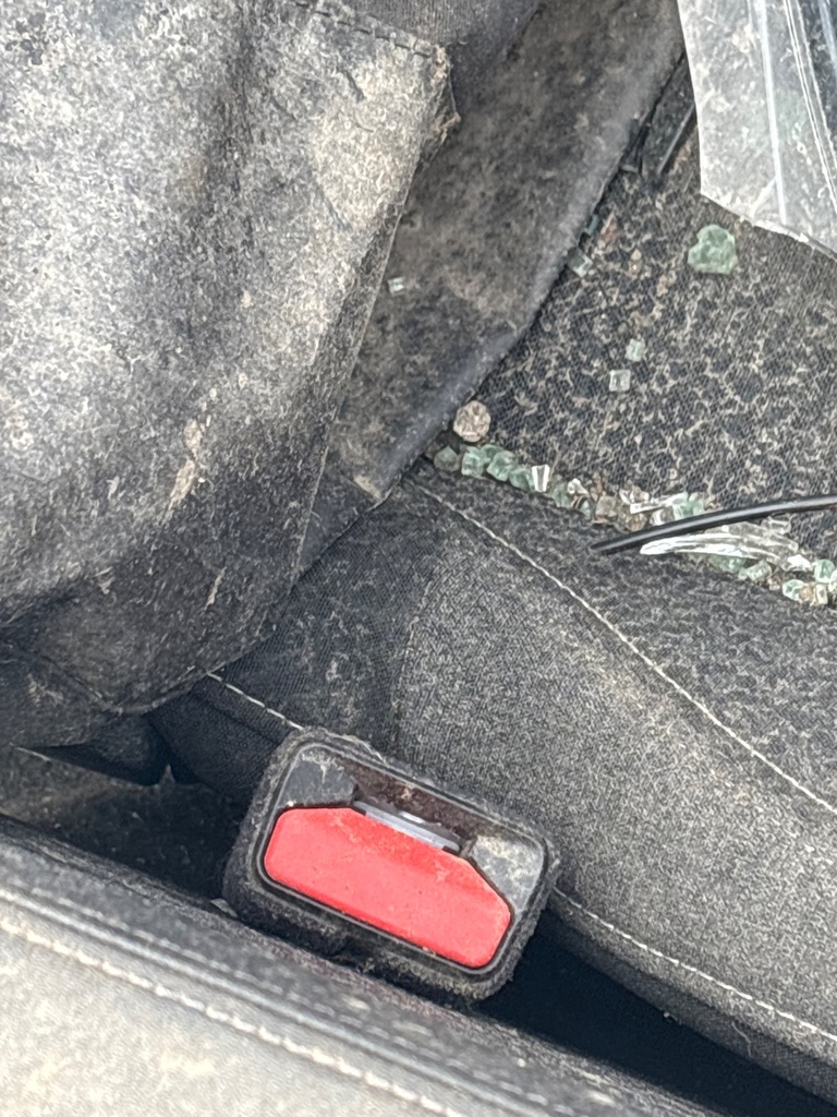 [EPE-116491] Cinturón de seguridad delantero izquierdo Peugeot 308 SW 2023
