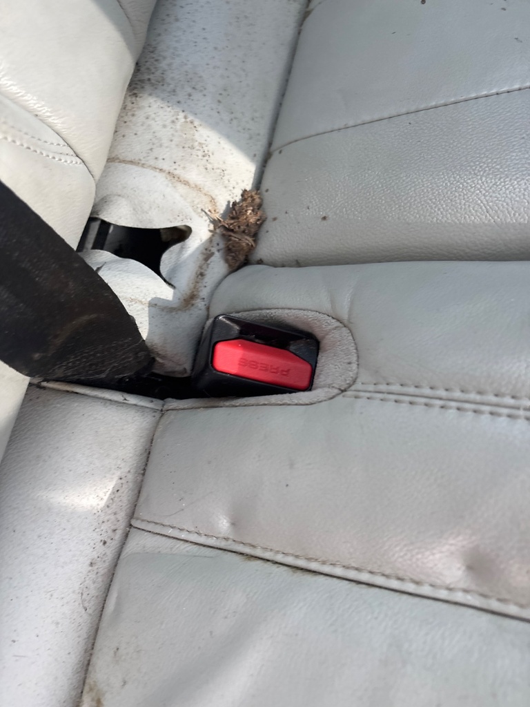 [EPE-123149] Cinturón de seguridad trasero LH Land Rover Range Rover Evoque 2017 204DTD AJ20D4