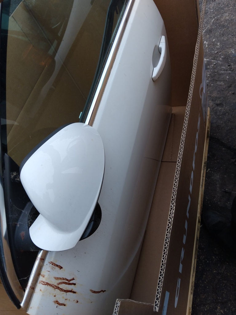 [EPE-124283] Puerta delantera izquierda Opel Insignia