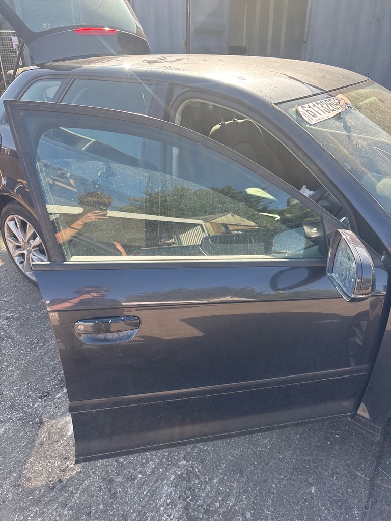 [EPE-124314] Puerta delantera derecha Audi A3