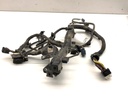 Mazo de cables de motor KIA EV6 (CV) 2021-2022 77 AWD 239 kW
