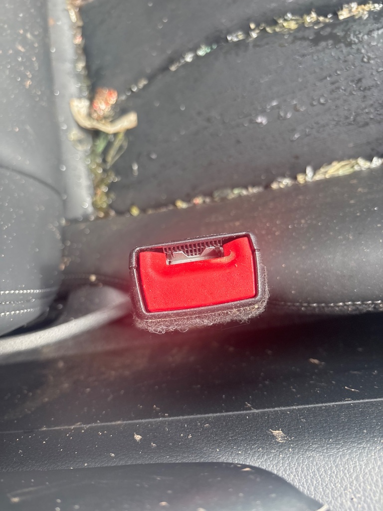 [EPE-124197] Cinturón de seguridad delantero izquierdo Audi A3 S3